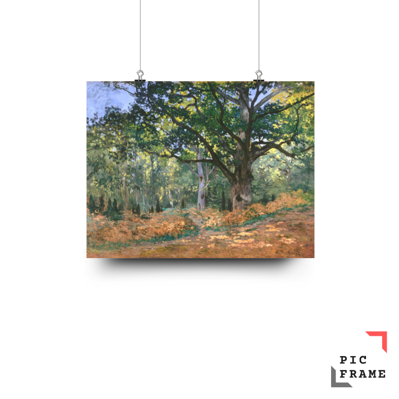 The Bodmer Oak, Fontainebleau Forest