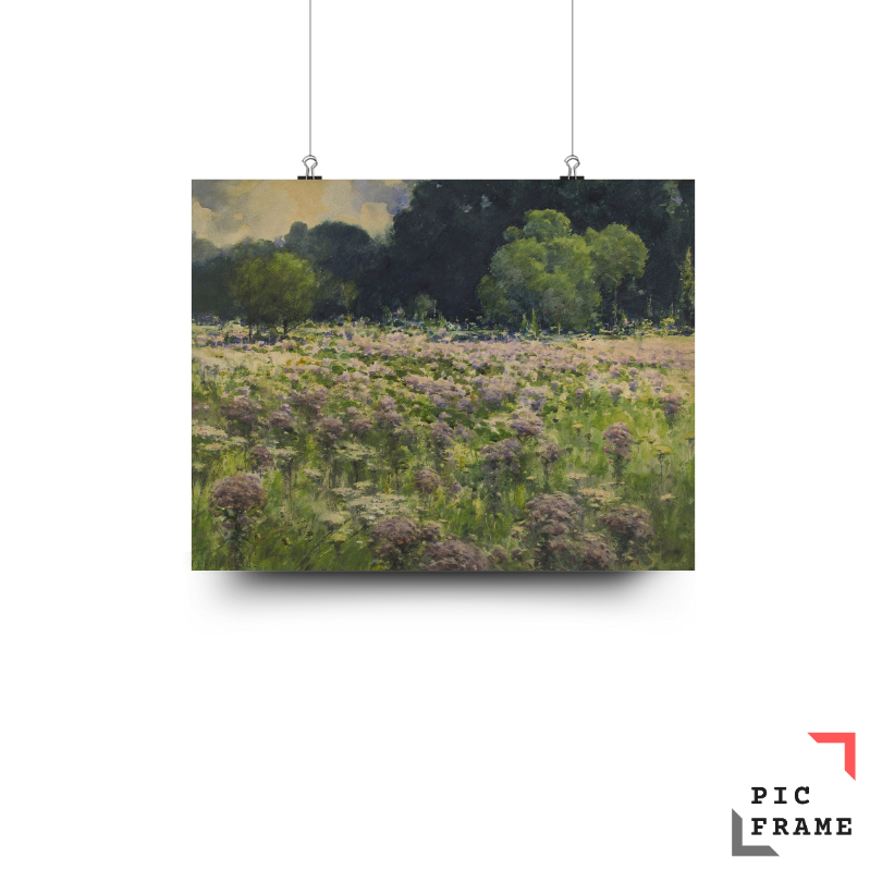 Field of Joe Pie Weeds