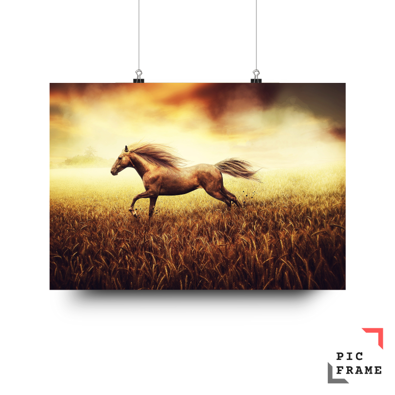 Artistic Horses 4