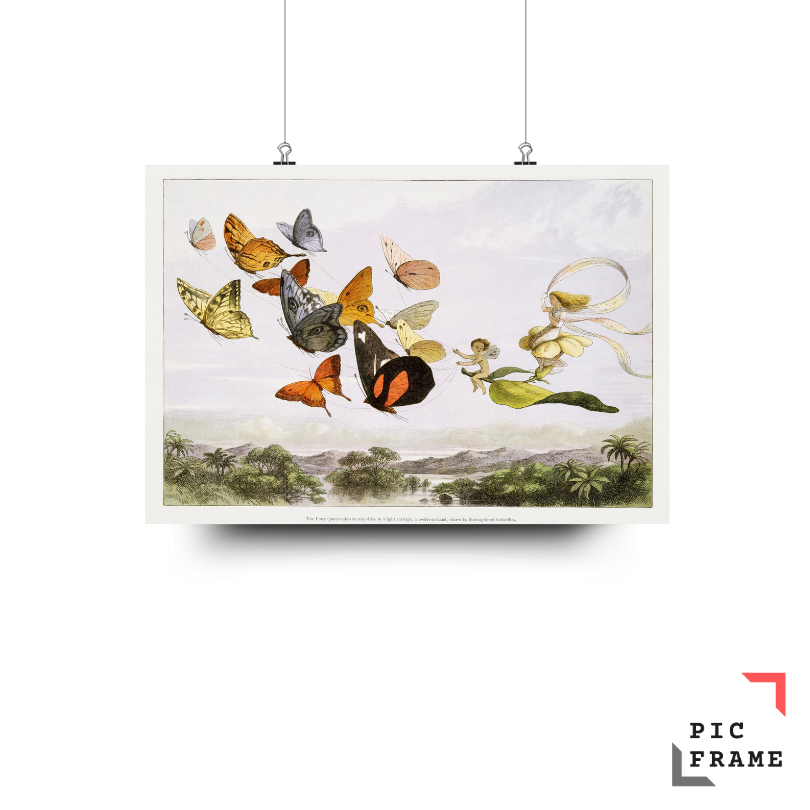 The Fairy Queen Takes an Airy Drive in a Light Carriage, a Twelve-in-hand, drawn by Thoroughbred Butterflies