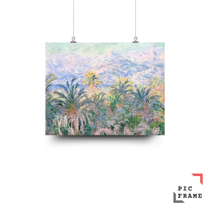 Palm Trees at Bordighera