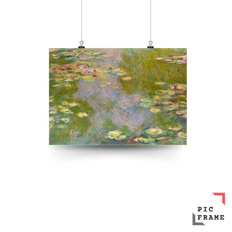 Water Lilies