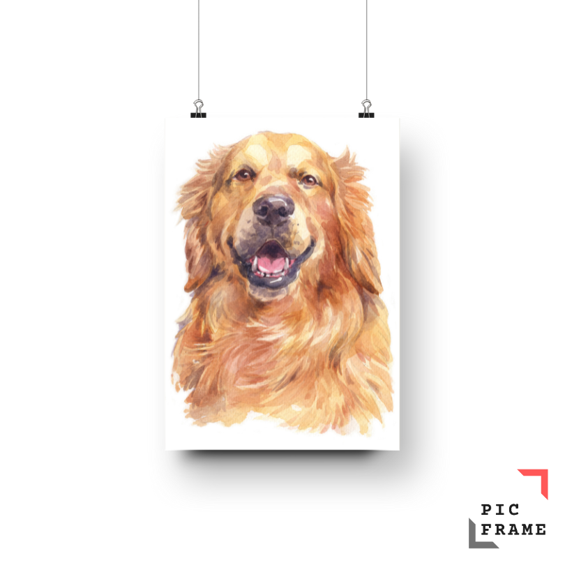 Artistic Dogs 1
