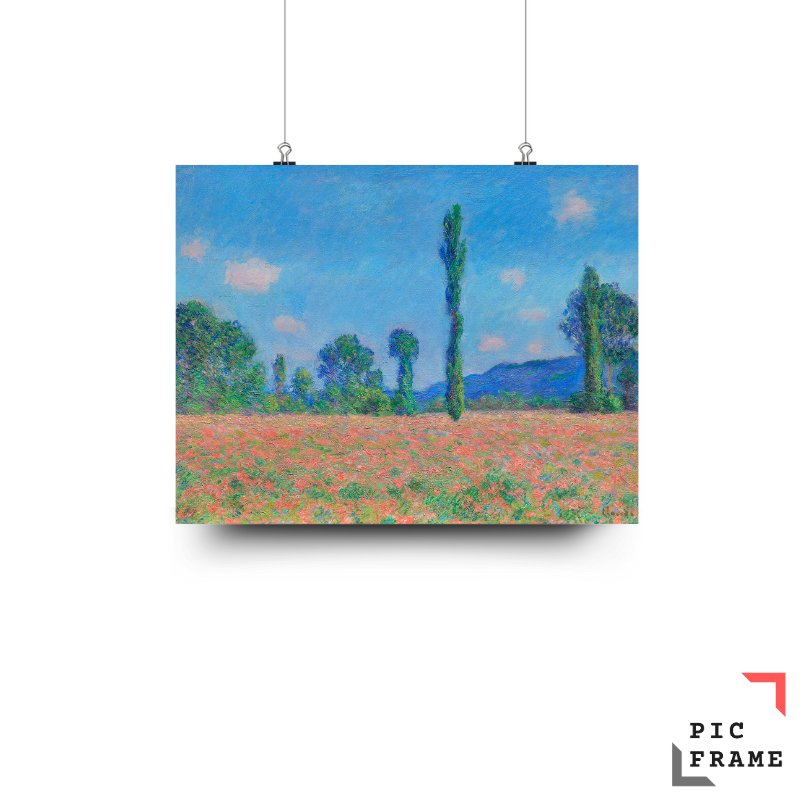 Poppy Field (Giverny)