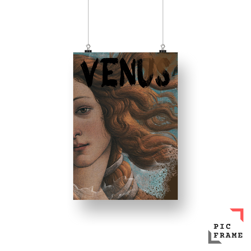 Venus Reborn