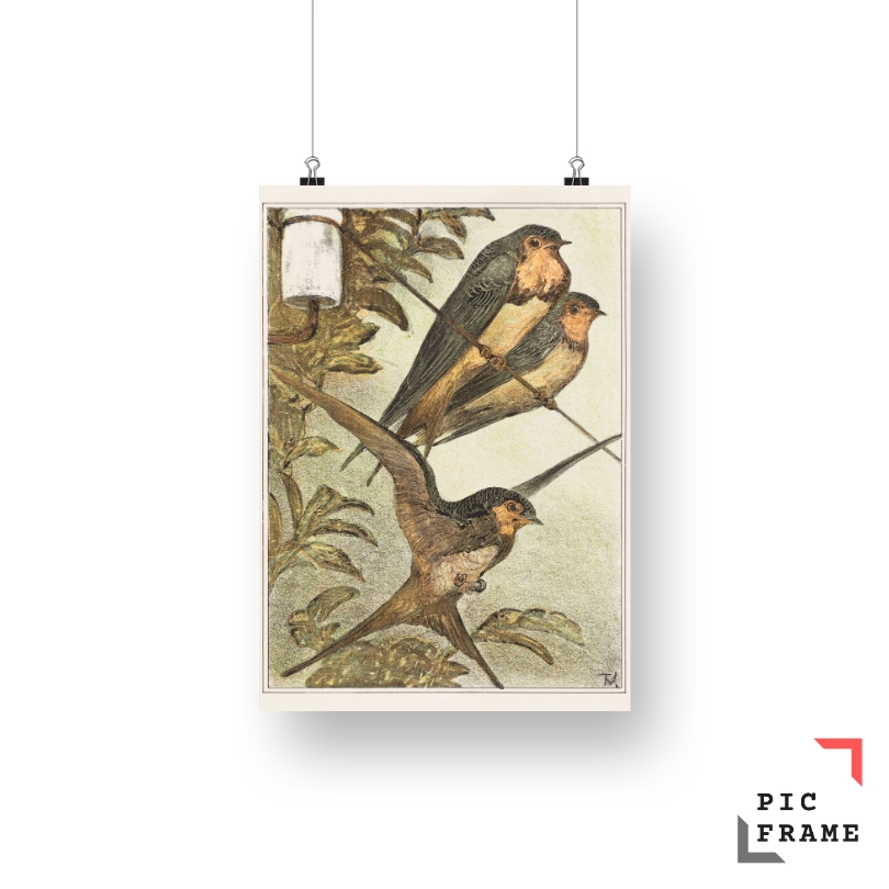 Drie zwaluwen (1878–1910) by Theo van Hoytema