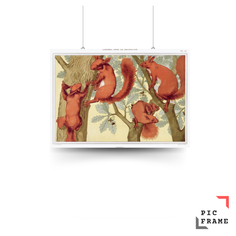 Écureuils from L_animal dans la décoration (1897) illustrated by Maurice Pillard Verneuil