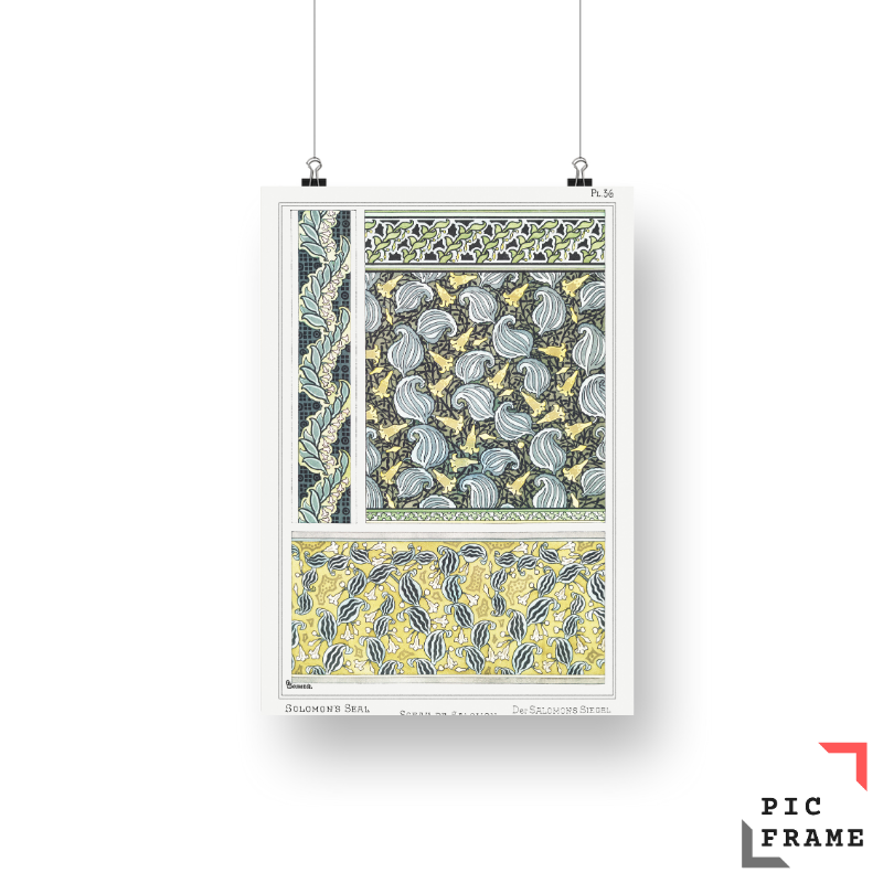 Sceau de Salomon (solomon_s seal) from La Plante et ses Applications ornementales (1896) illustrated by Maurice Pillard Verneuil 3