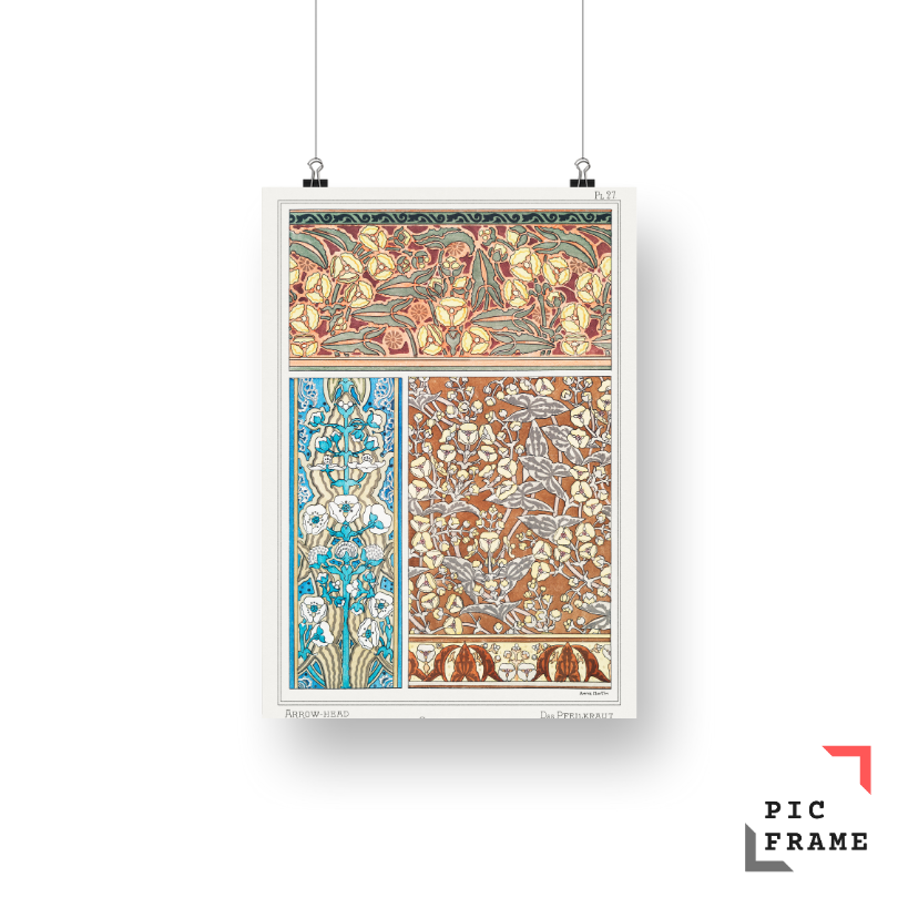 Sagittaire (arrowhead) from La Plante et ses Applications ornementales (1896) illustrated by Maurice Pillard Verneuil