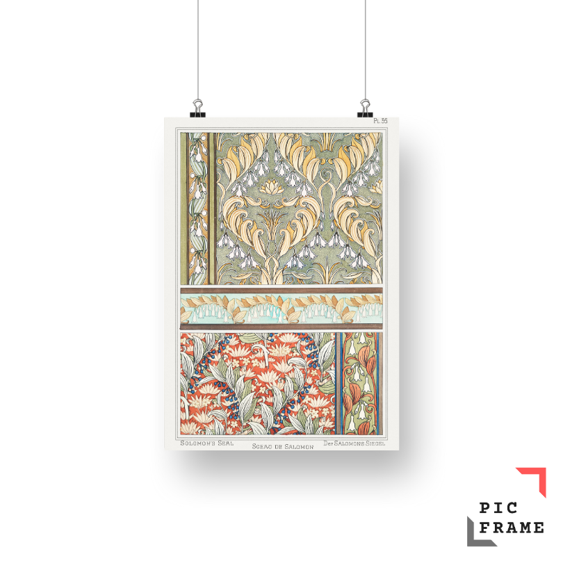 Sceau de Salomon (solomon_s seal) from La Plante et ses Applications ornementales (1896) illustrated by Maurice Pillard Verneuil 2