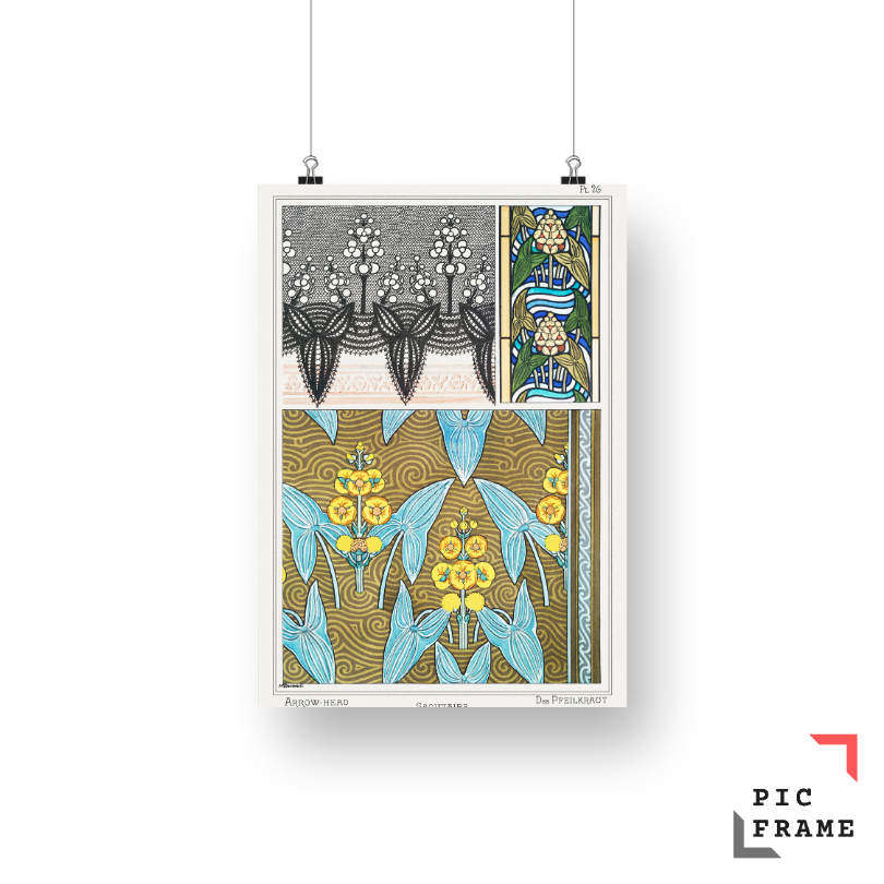 Sagittaire (arrowhead) from La Plante et ses Applications ornementales (1896) illustrated by Maurice Pillard Verneuil 2