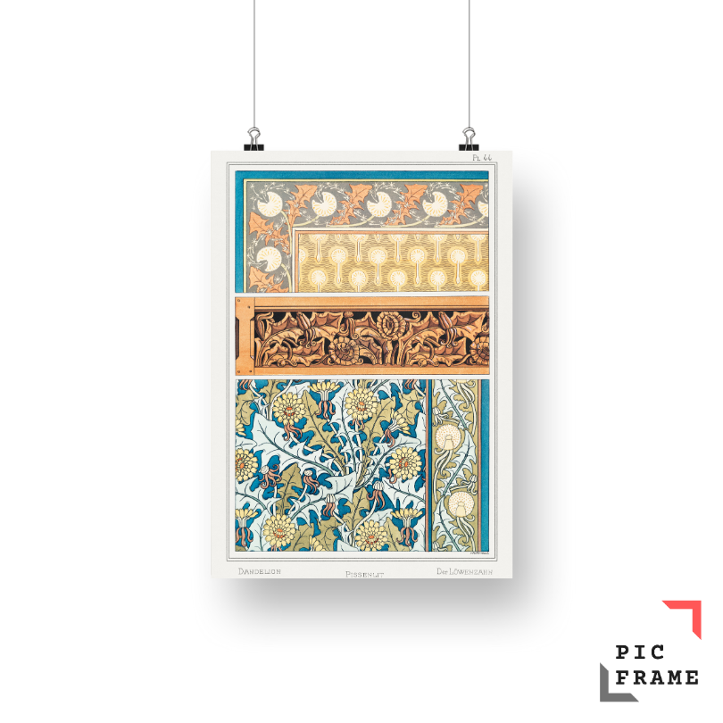 Pissenlit (dandelion) from La Plante et ses Applications ornementales (1896) illustrated by Maurice Pillard Verneuil 3