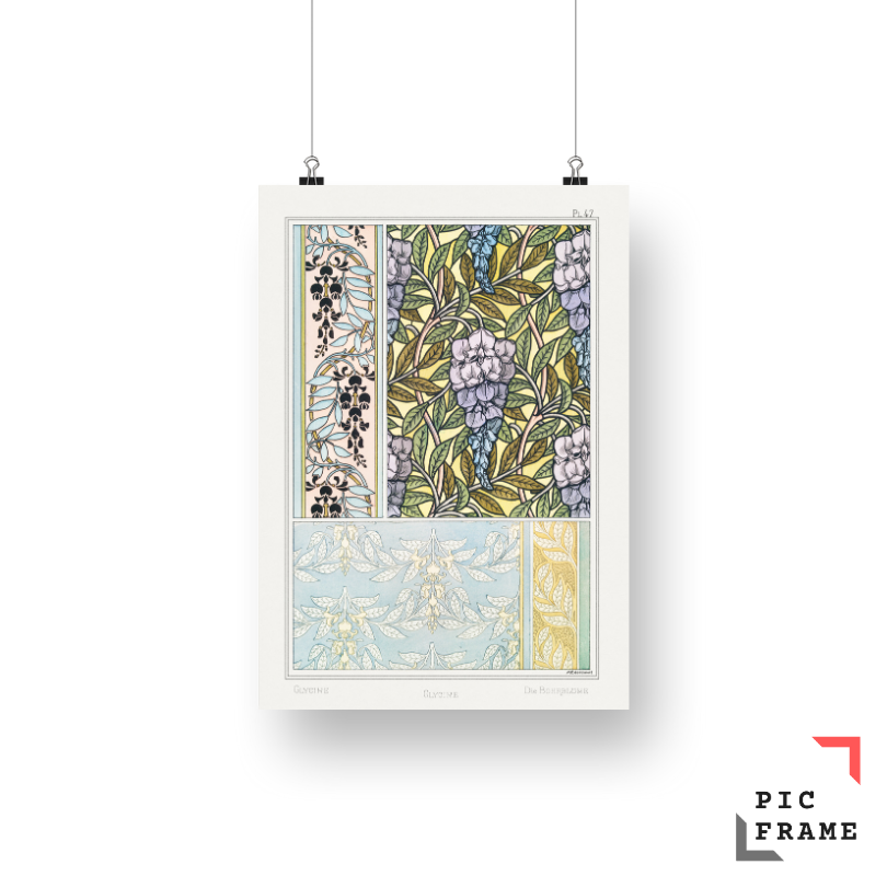 Glycine (wisteria) from La Plante et ses Applications ornementales (1896) illustrated by Maurice Pillard Verneuil