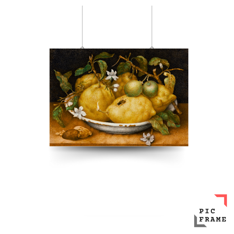 Still Life with Bowl of Citrons Giovanna Garzoni (1600-1670)