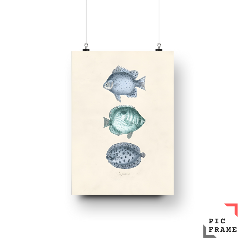 Blue fish