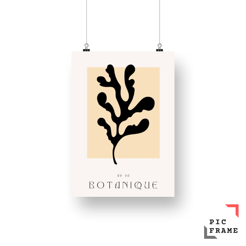 Botanique No 06