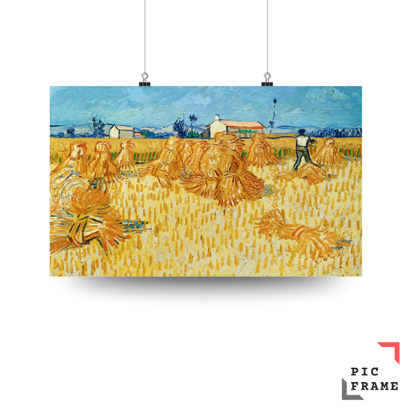 Harvest in Provence