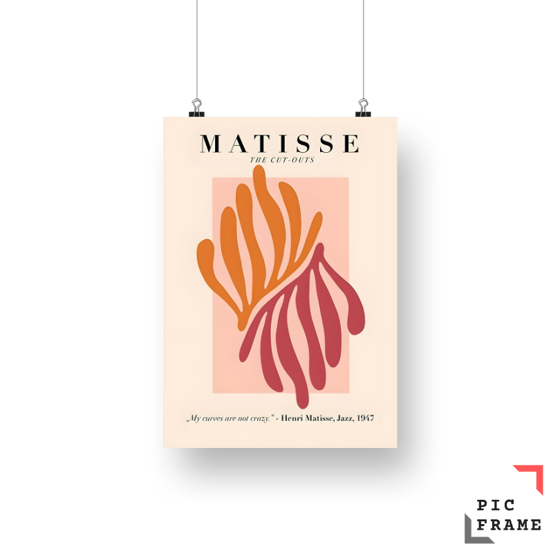 Matisse My curves are not crazy