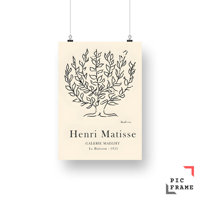 Matisse's Botanical Elegance