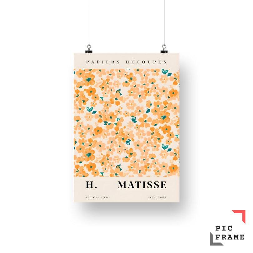 Matisse in colour
