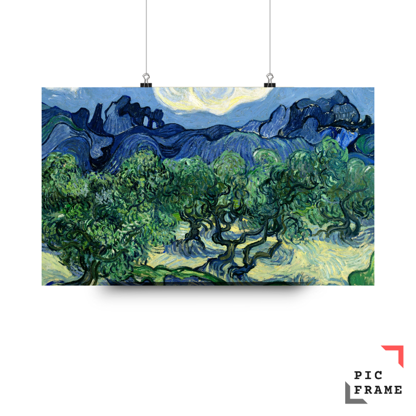 Olive Trees (2)