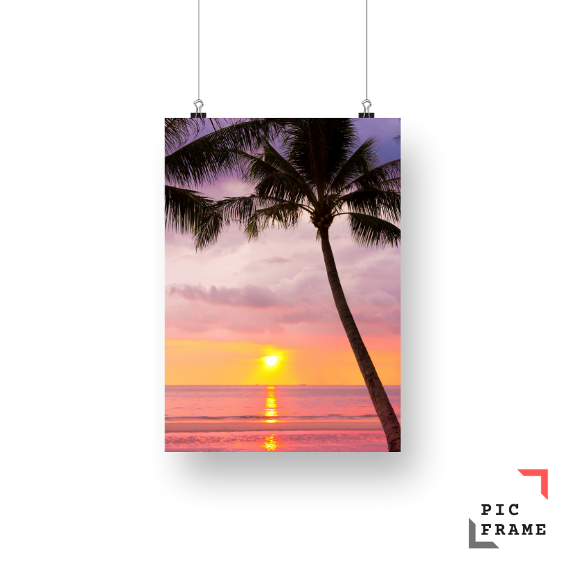Palm Tree Paradise
