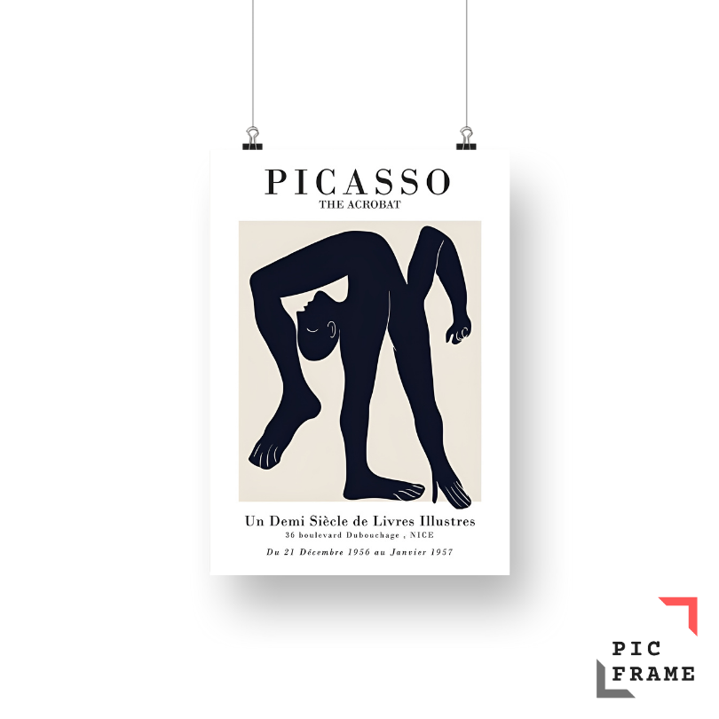Picasso (15)