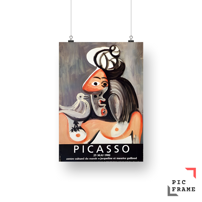 Picasso (7)