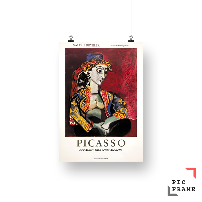 Picasso (9)