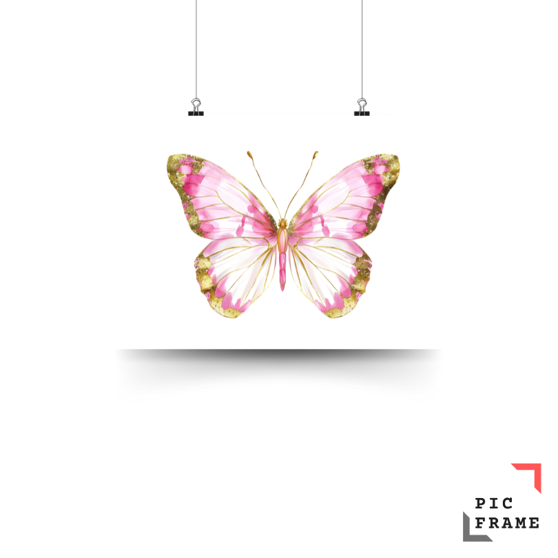 Pink Butterfly