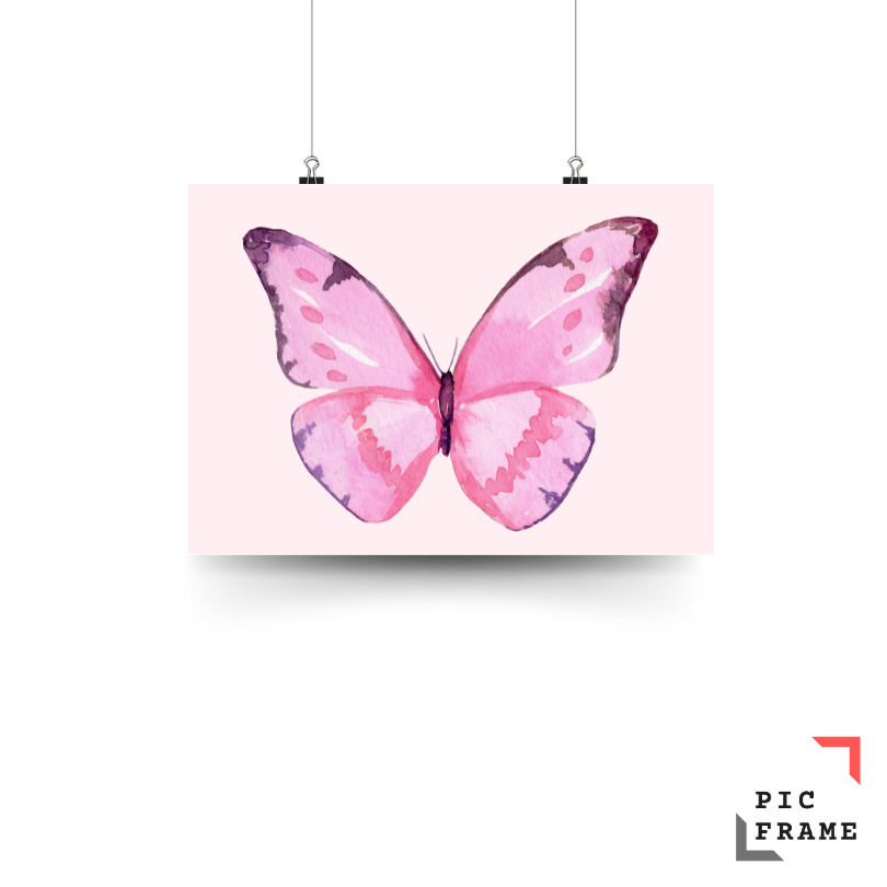 Pink Butterfly (2)