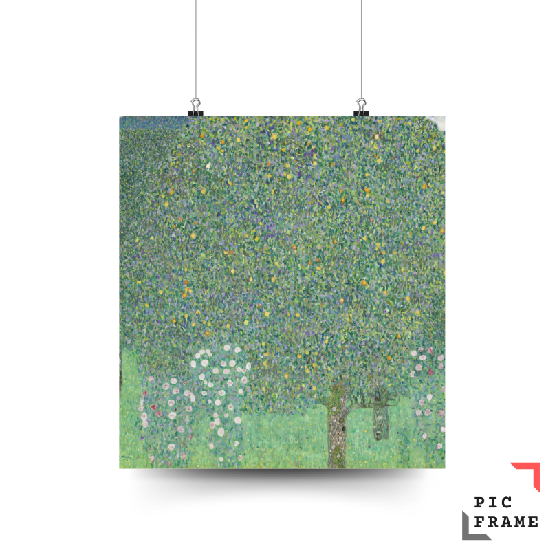 Rosebushes under the Trees