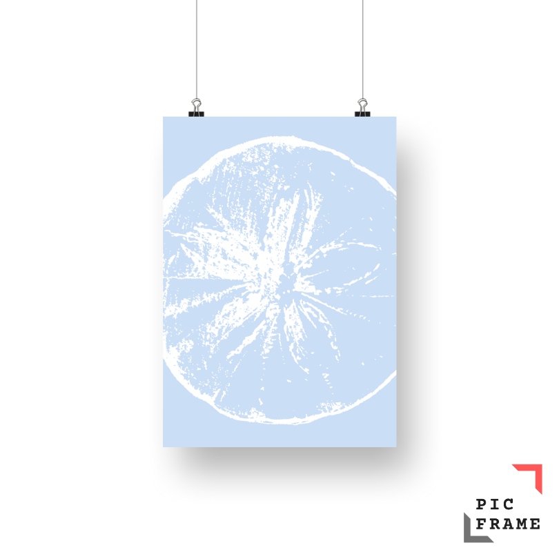 Sand Dollar in white ink