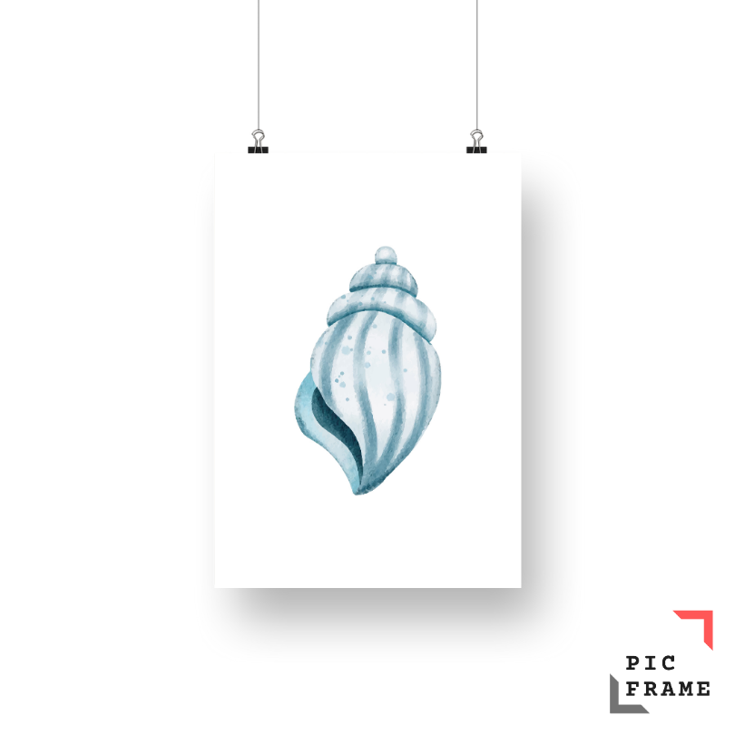 Shell watercolor