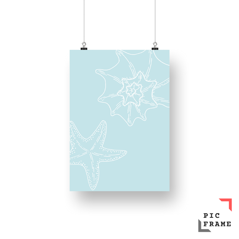 Starfish Light Blue 1