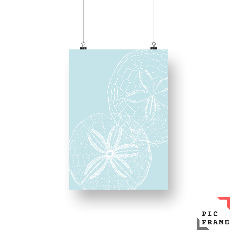 Starfish Light Blue 3