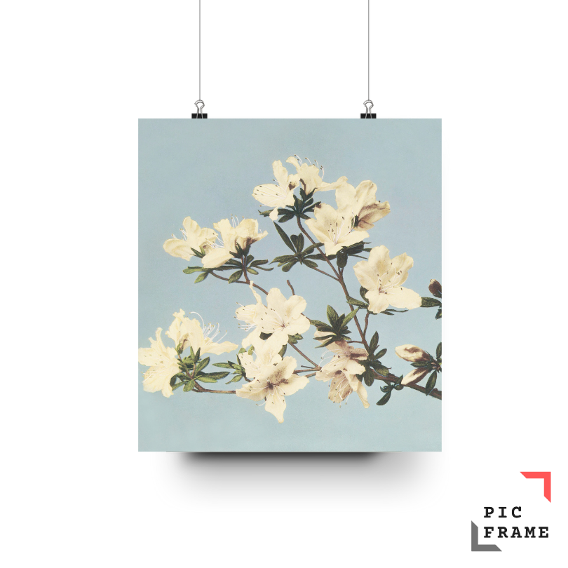 Walljar Ogawa Kazumasa Japanese Azalee