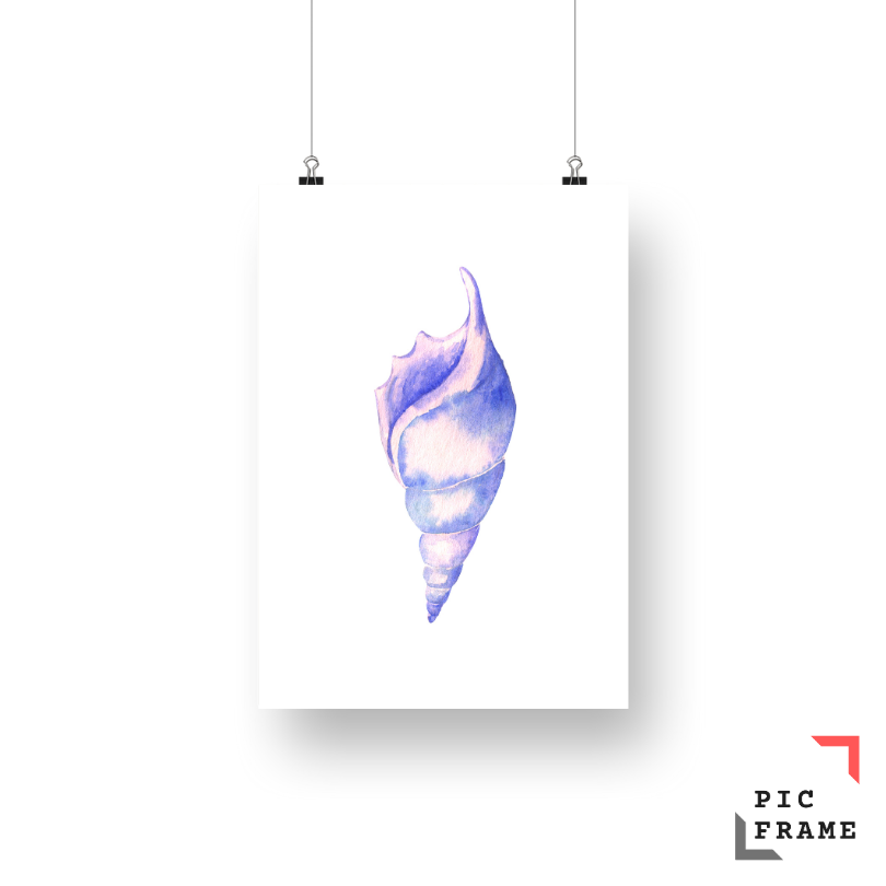 Watercolor shell