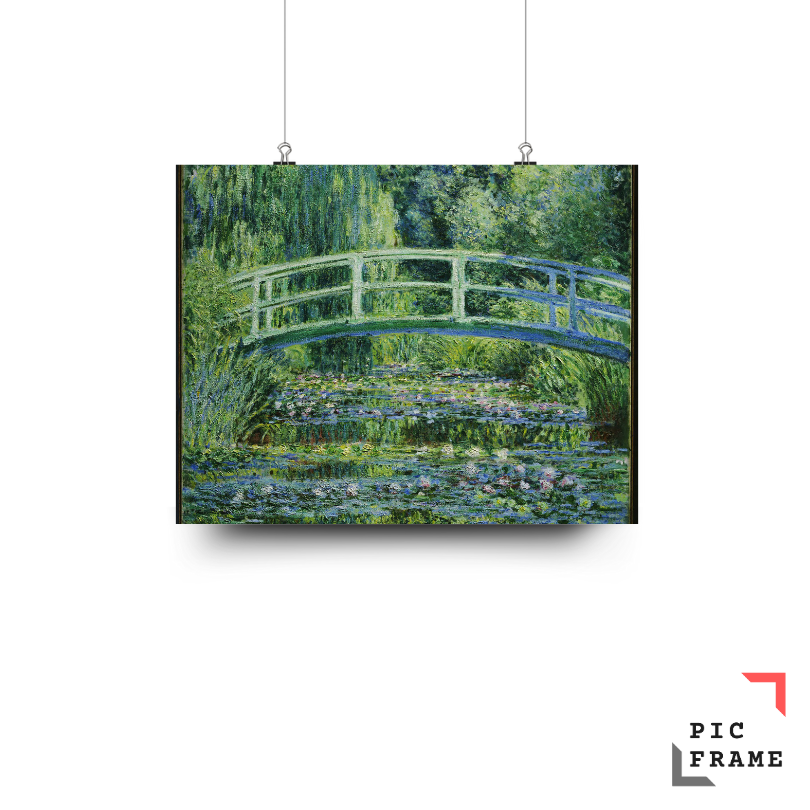 The Water Lily Pond