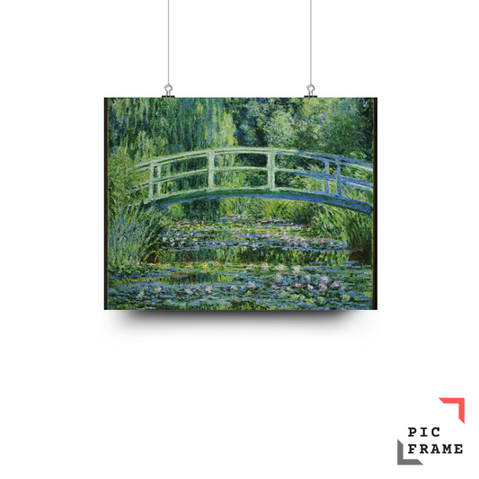 The Water Lily Pond