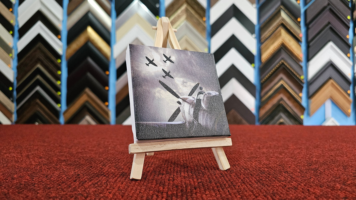 Novelty Canvas - The Perfect Gift