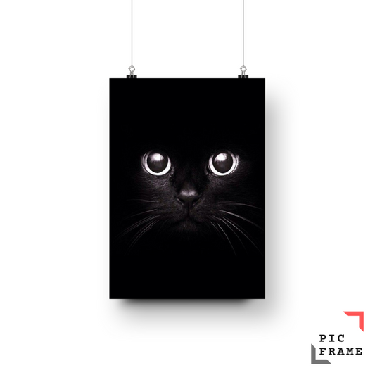 Artistic Cats 3