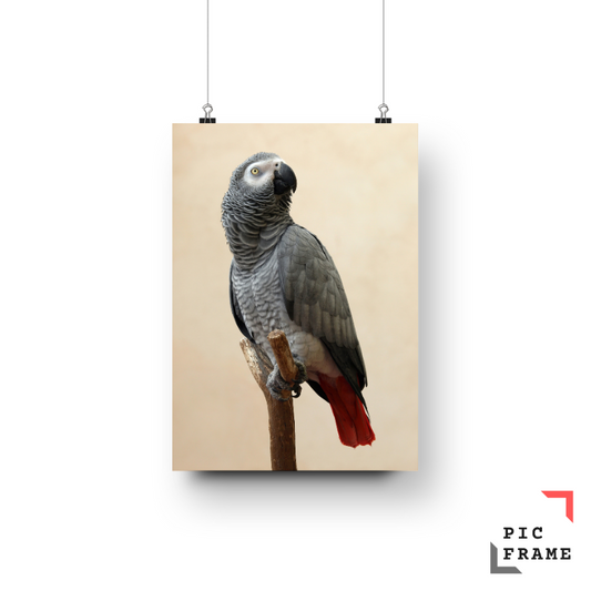 Birds 19