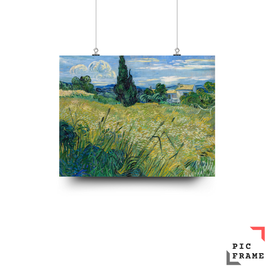 Green Wheat Field with Cypress