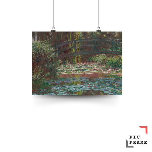 Water Lily Pond