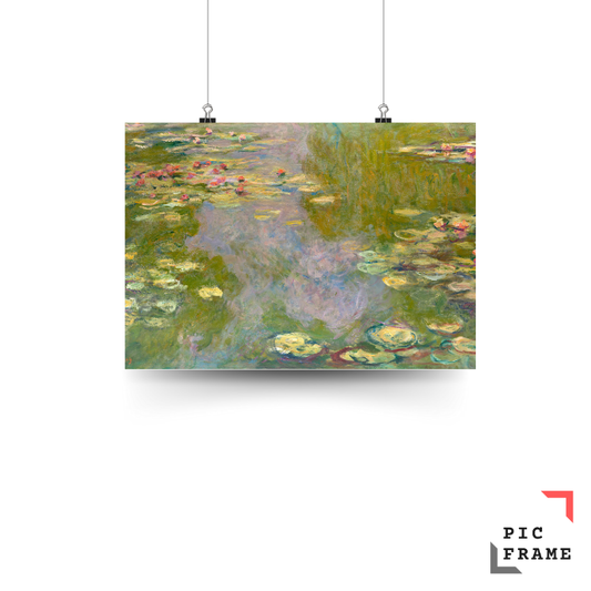 Water Lilies