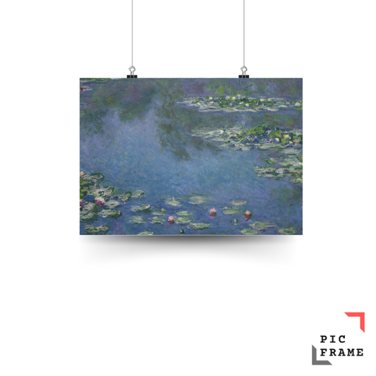 Water Lilies