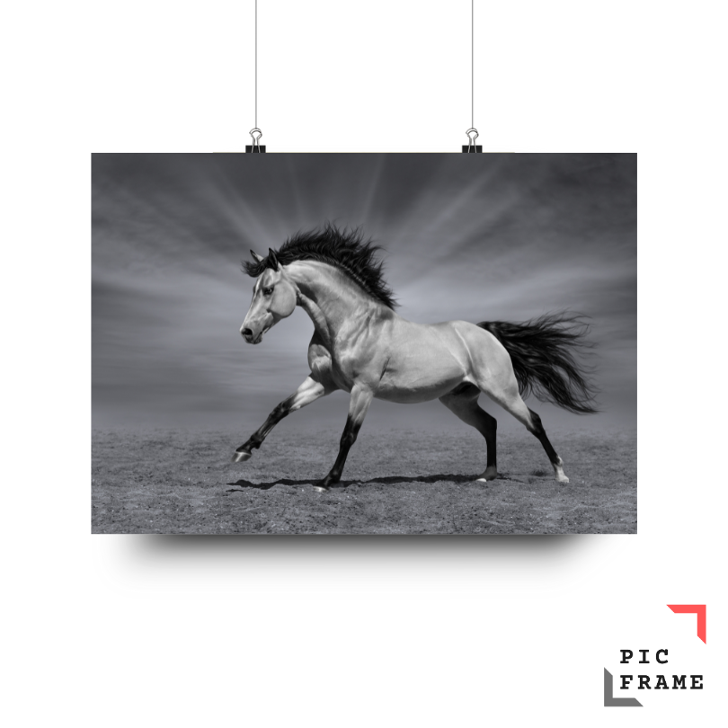 Artistic Horses 2