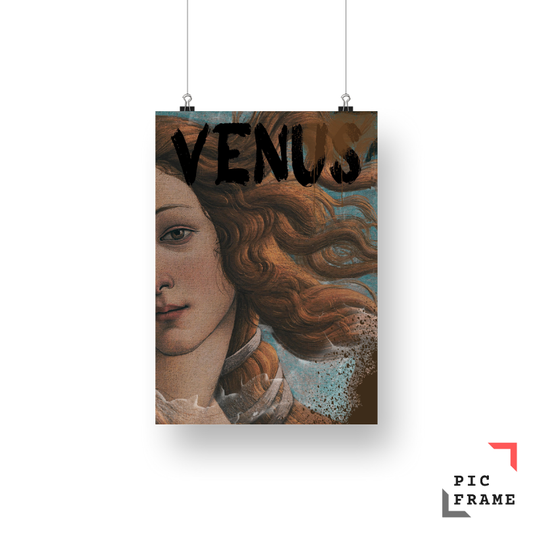 Venus Reborn