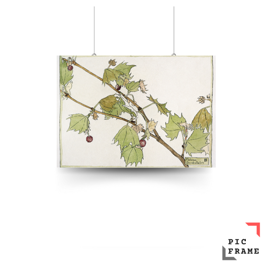 Sycamore (1915) by Hannah Borger Overbeck